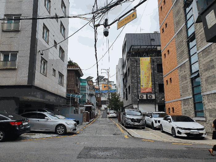사진 11
