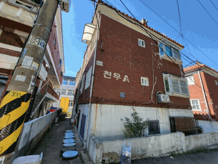 사진 24