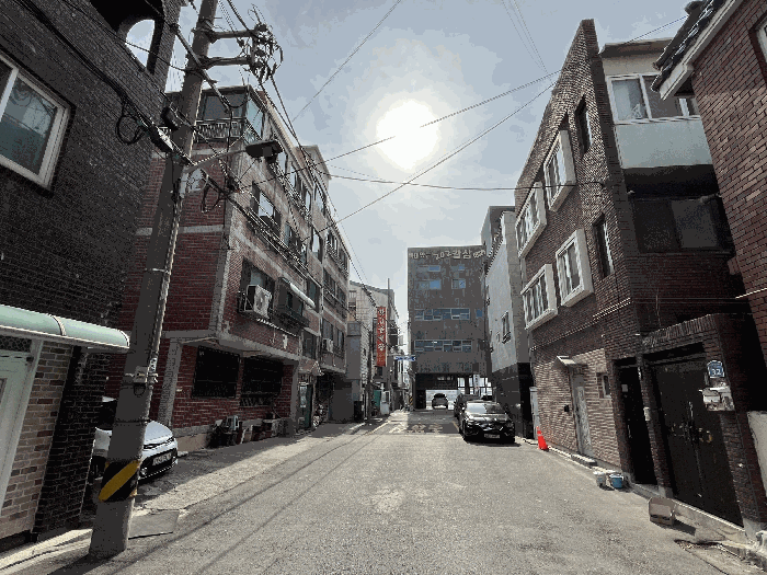 사진 5