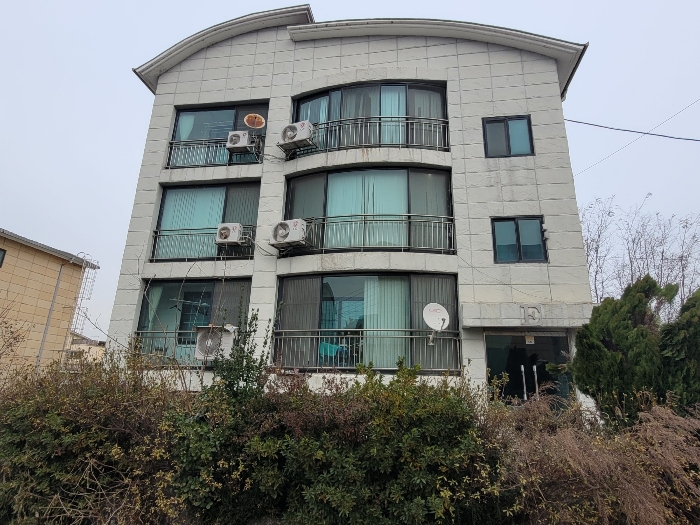 사진 12