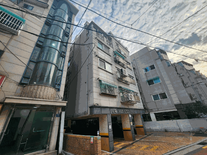 사진 12