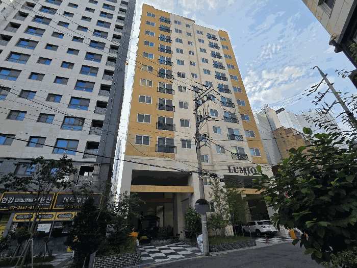 사진 10