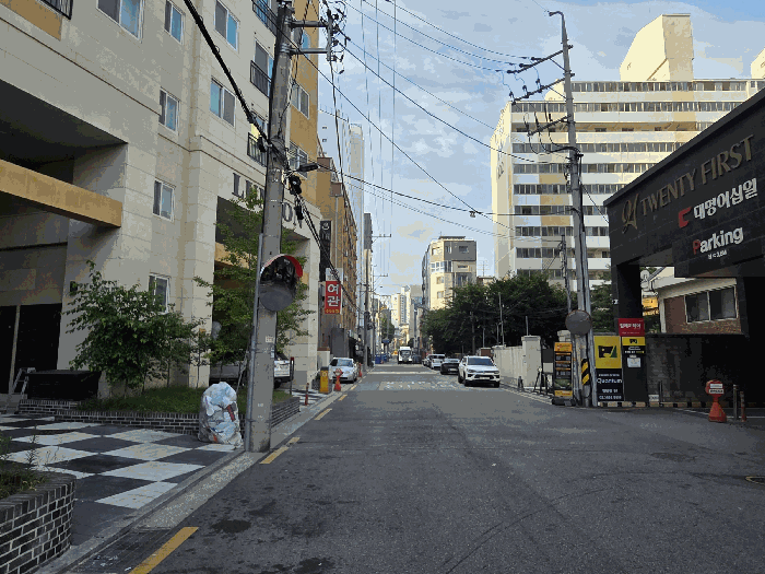 사진 13