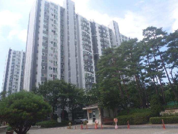 사진 15