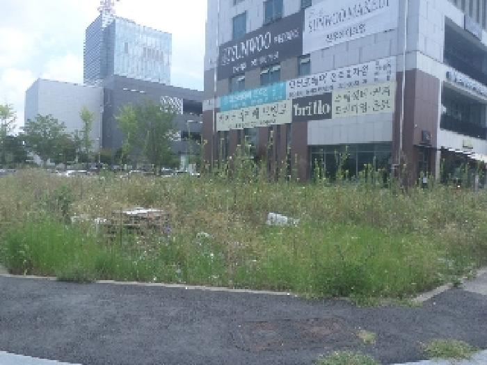 사진 21