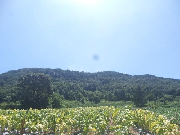 사진 25