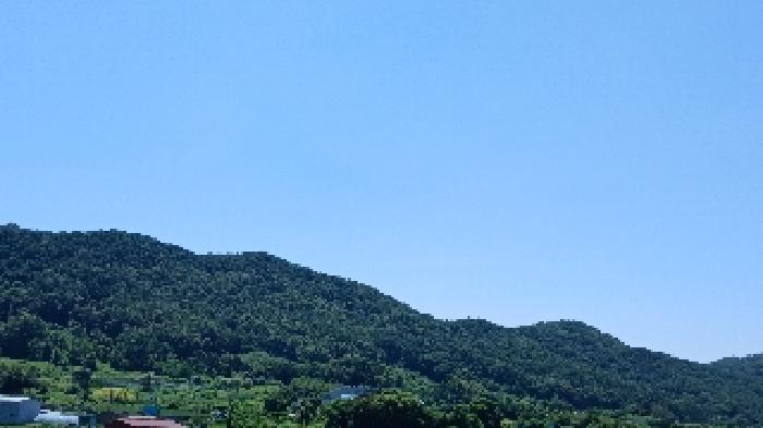 사진 26