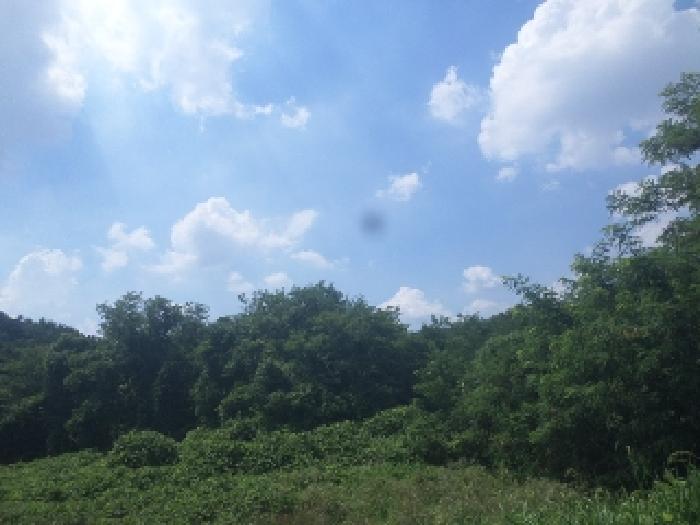사진 5
