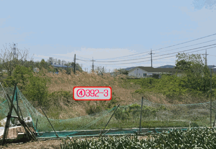 사진 6