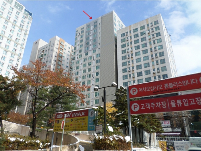 사진 8