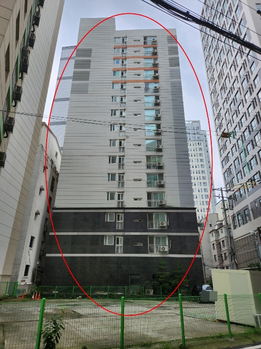 사진 12