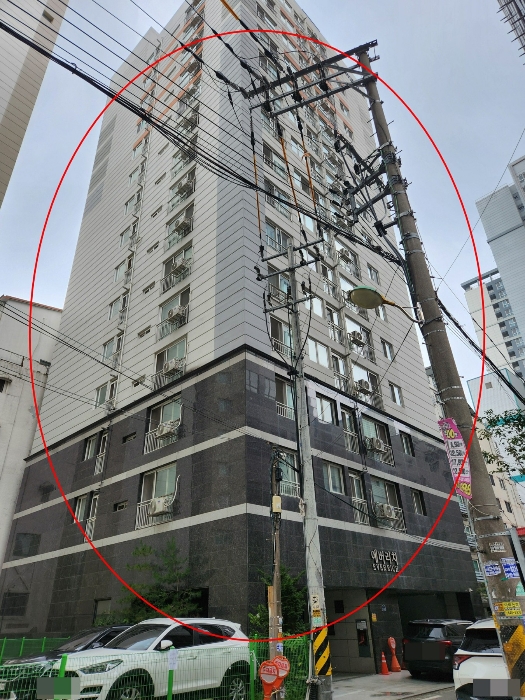 사진 4