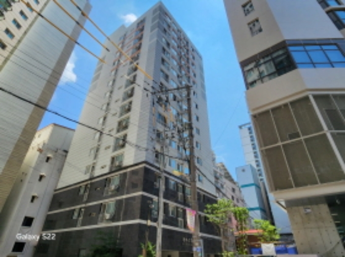 사진 1