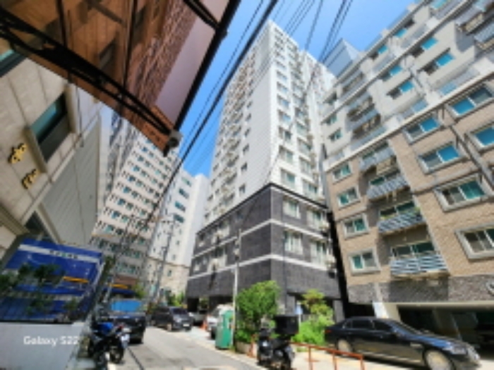 사진 70
