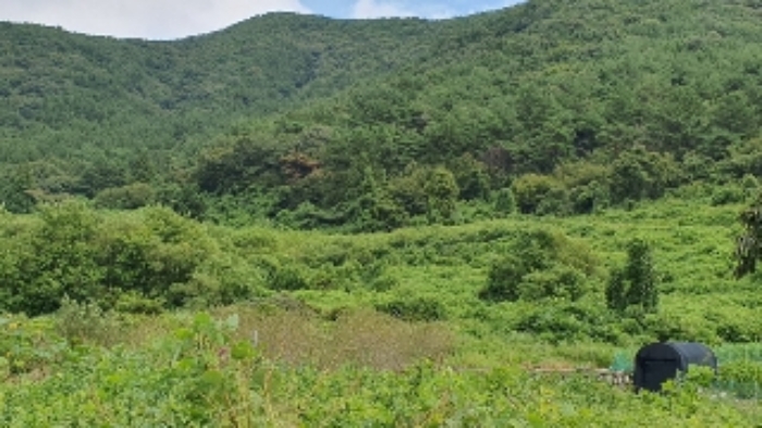 사진 5
