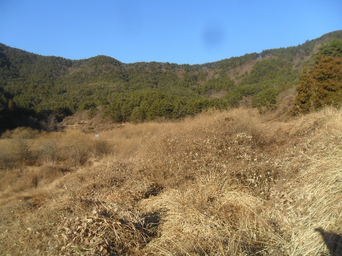 사진 8