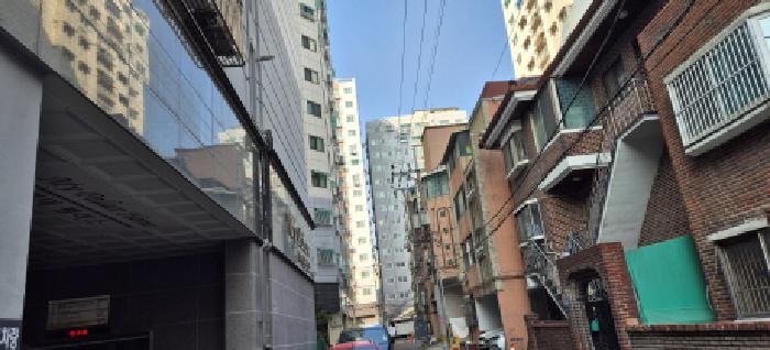 사진 9