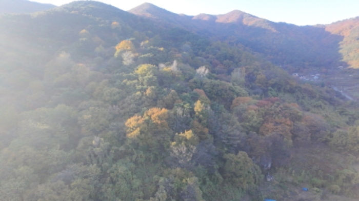 사진 1