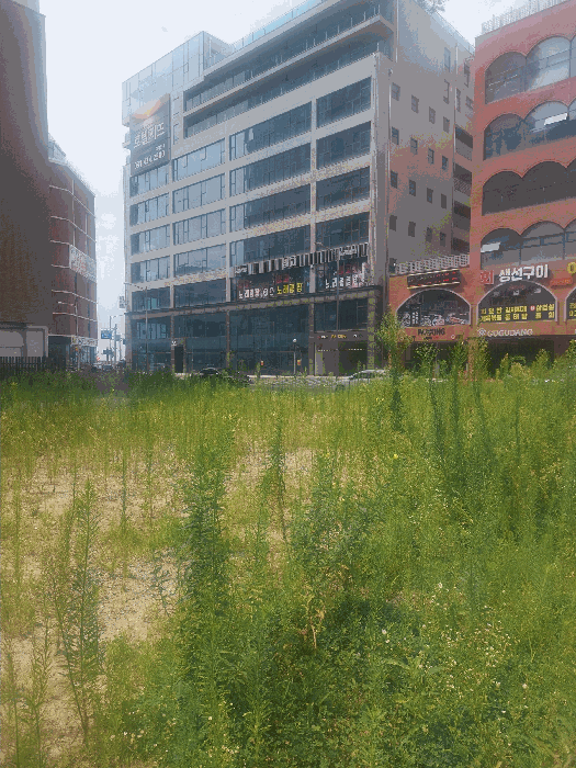 사진 13