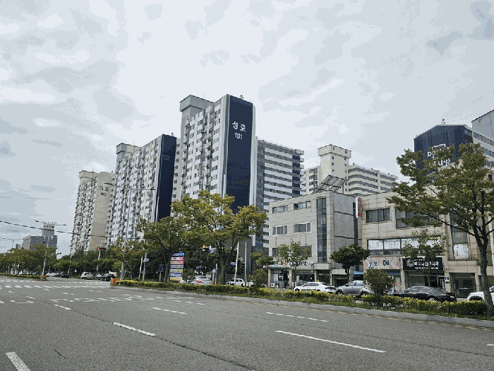 사진 1