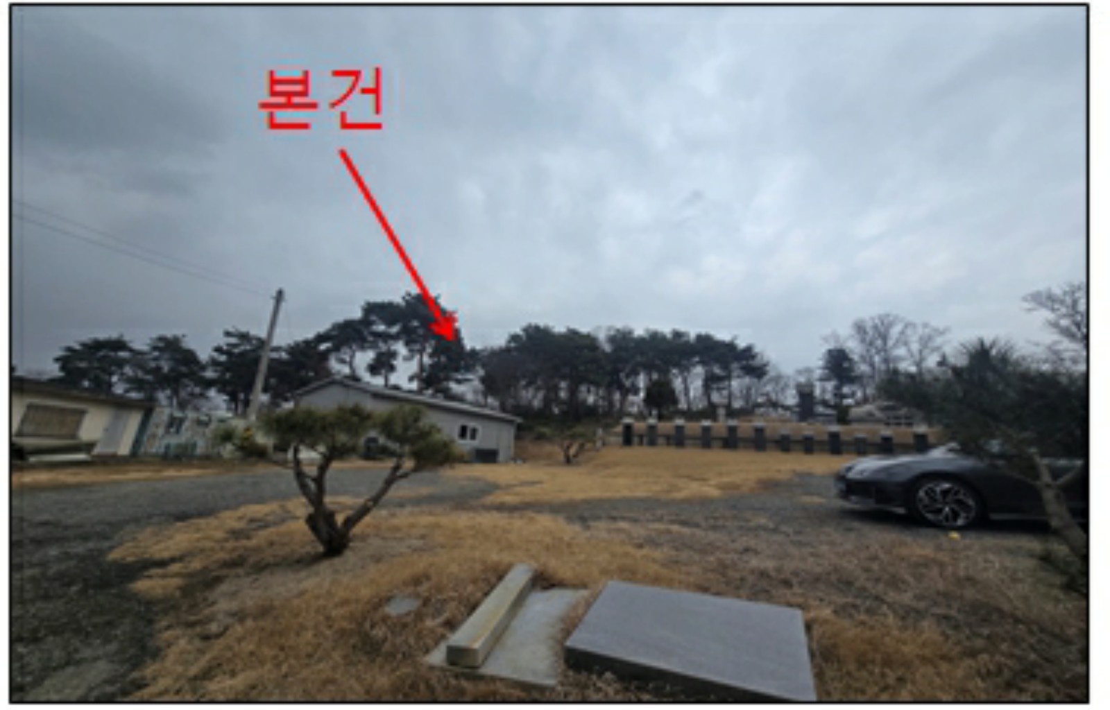 사진 1