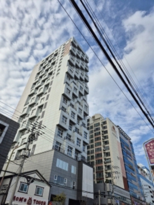 사진 2