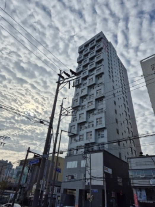 사진 3