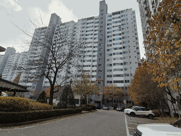 사진 7