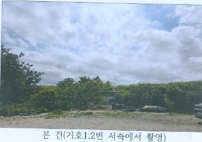 사진 2