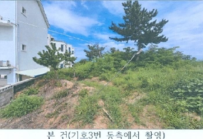 사진 3