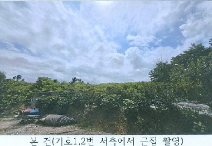 사진 5