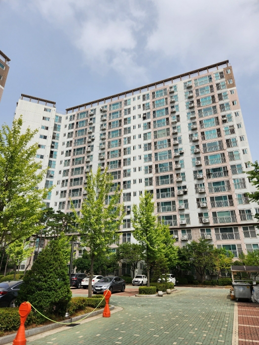 사진 3