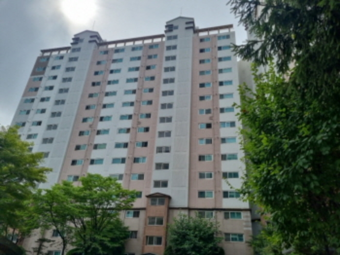 사진 5