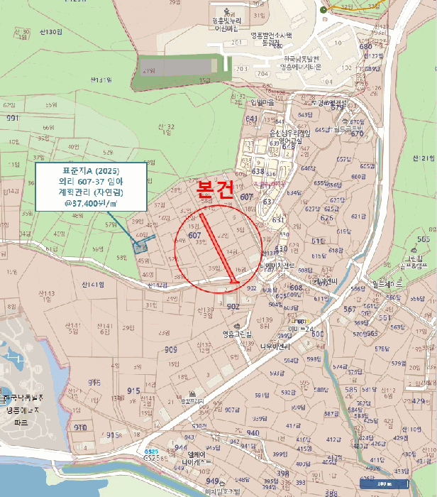 사진 5