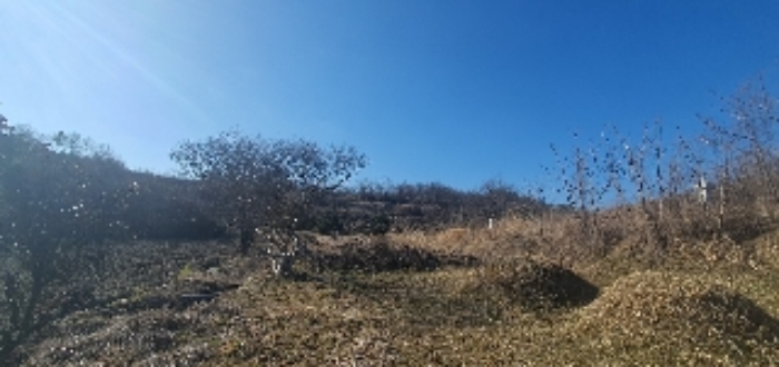 사진 1