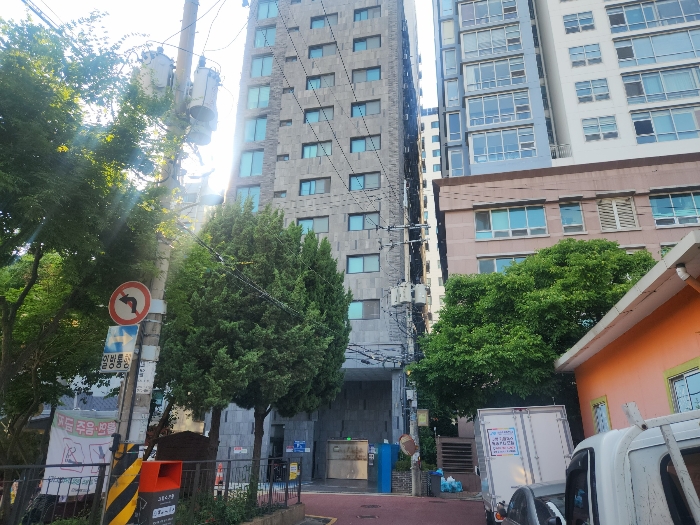 사진 5