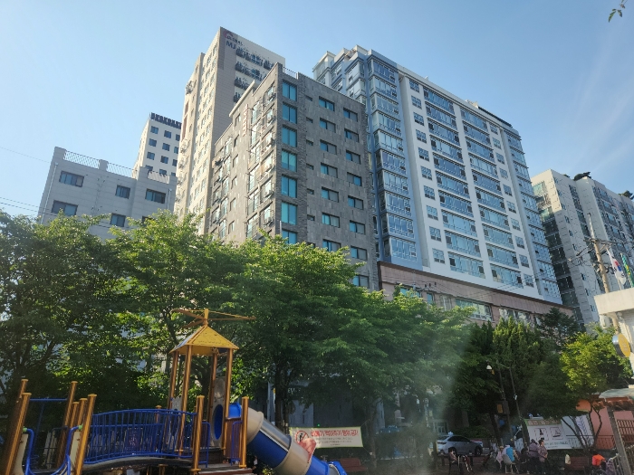사진 7