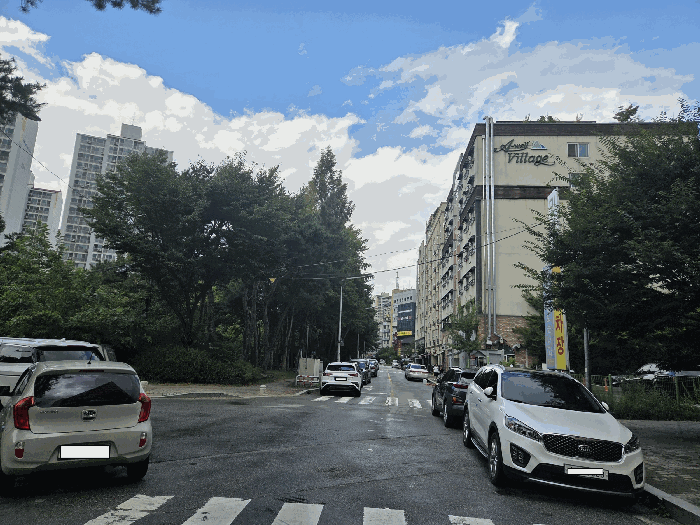 사진 8