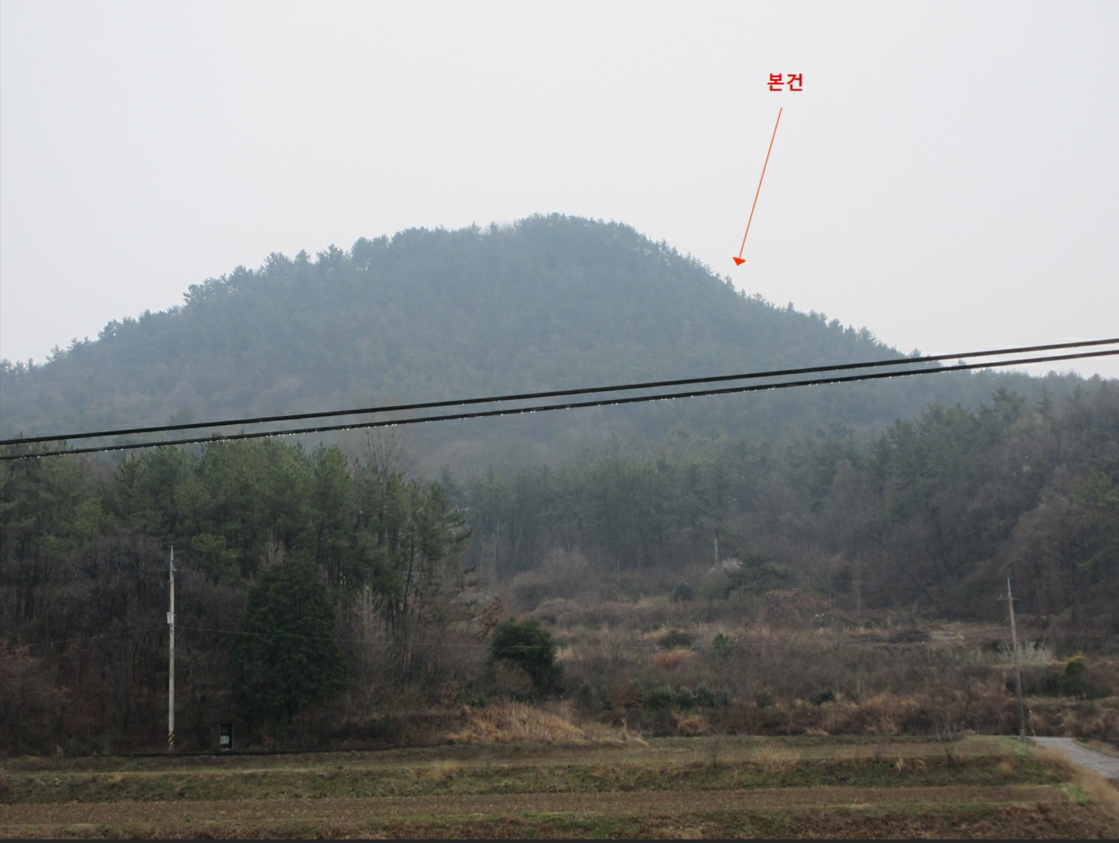 사진 1