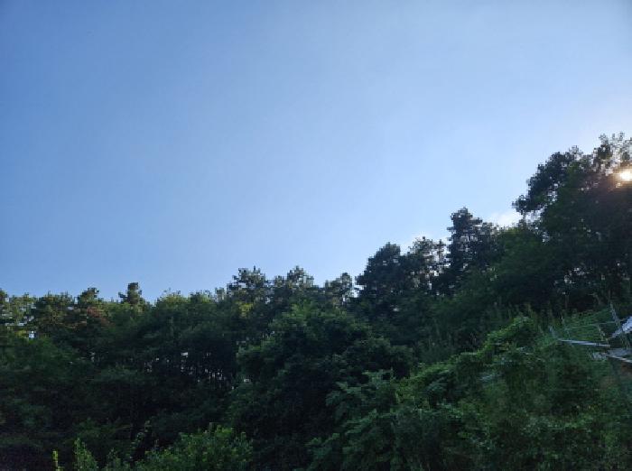 사진 5