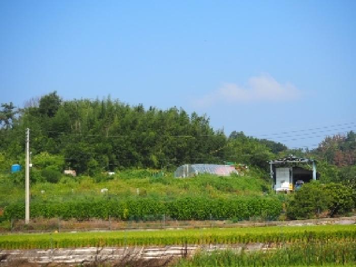 사진 1