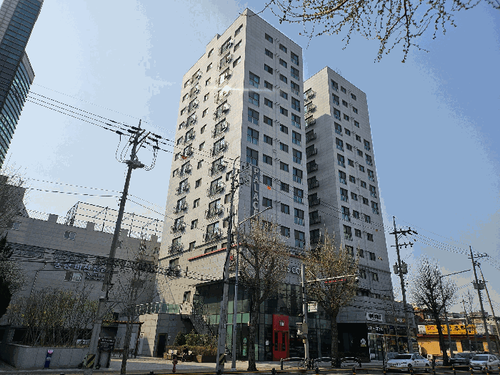 사진 11
