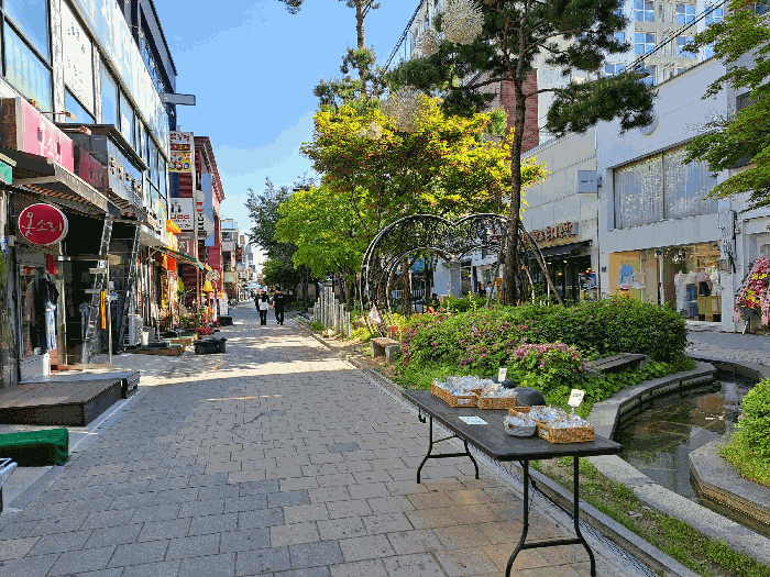 사진 5