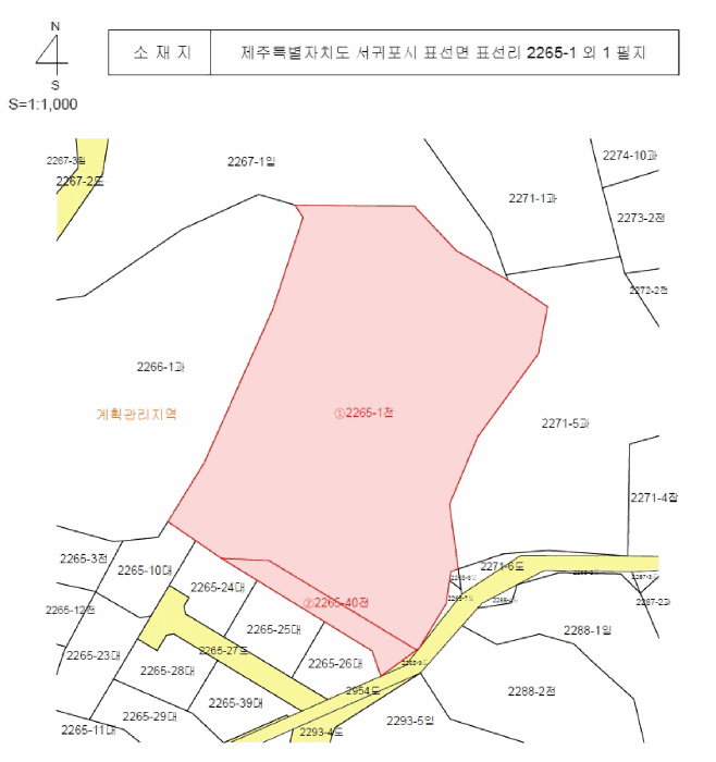 사진 8