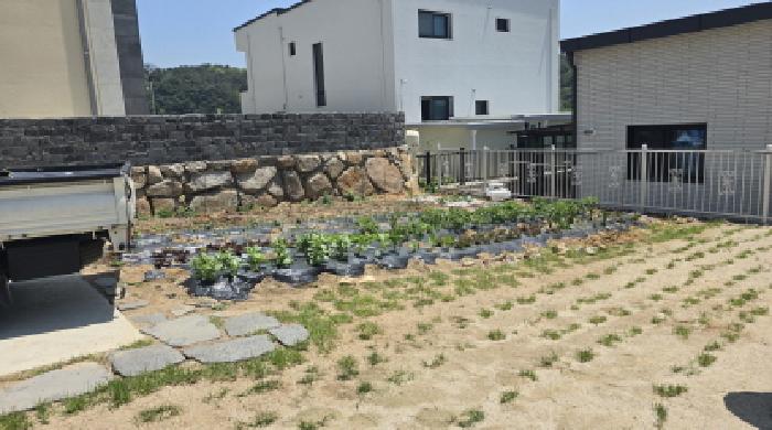 사진 1