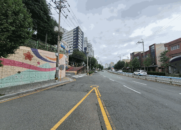 사진 12