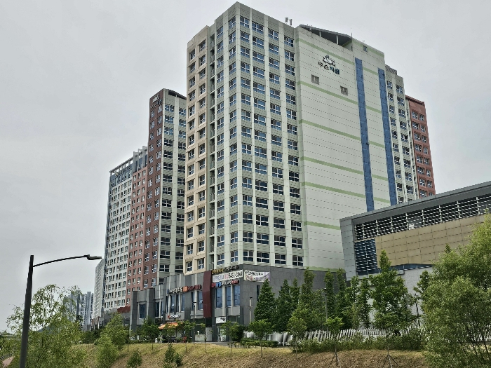 사진 11