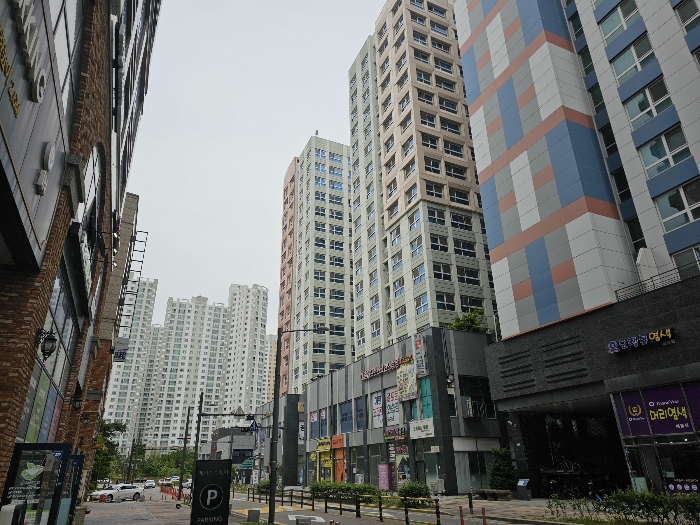 사진 13
