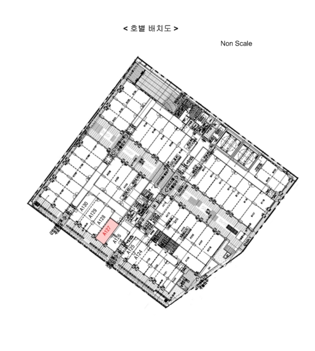 사진 5