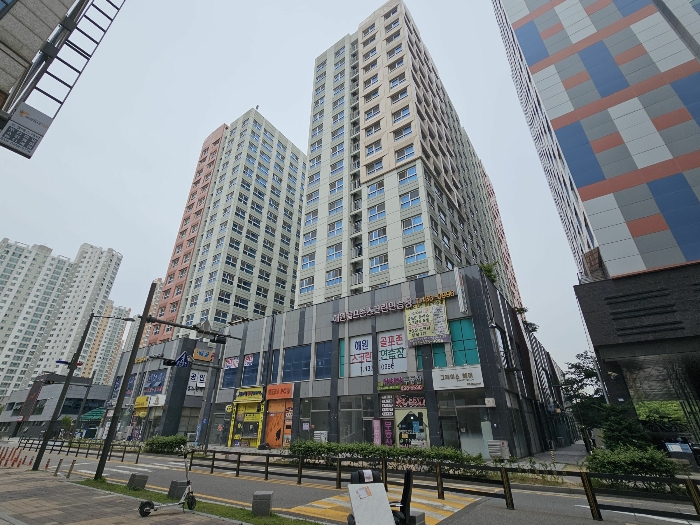사진 8